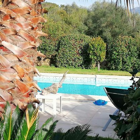 Studio 5Min Plage Agosta Albitreccia Екстер'єр фото